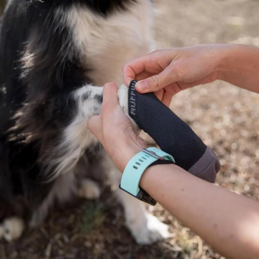 Dog paw being protected with a soft, adjustable sock during outdoor activities.