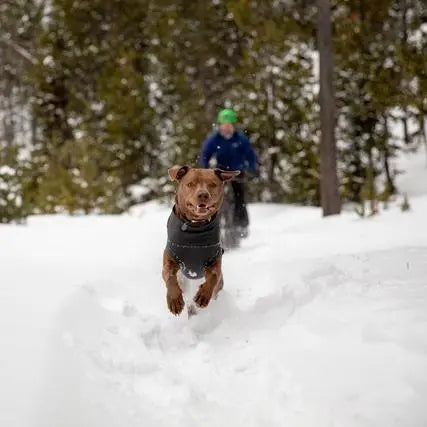 Dog joyfully running through snow with a person in the background, surrounded by trees.