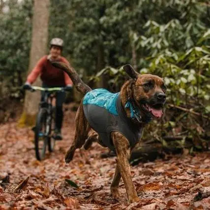 Dog in a blue jacket running through autumn leaves with a cyclist in the background.