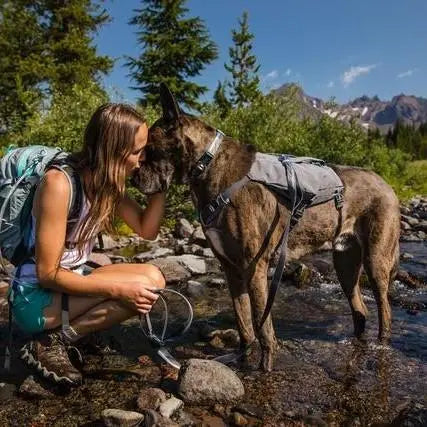 Woman and dog hiking together in a scenic mountain stream, enjoying nature and adventure.
