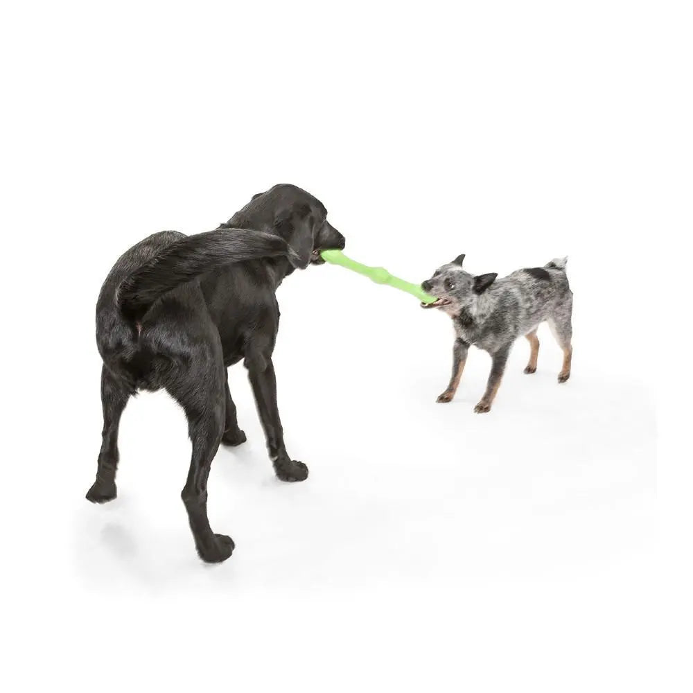 Two dogs play tug-of-war with a green toy on a white background.