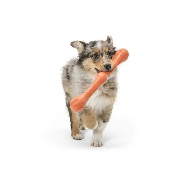 Playful dog carrying a large chew toy, perfect for interactive play and dental health.