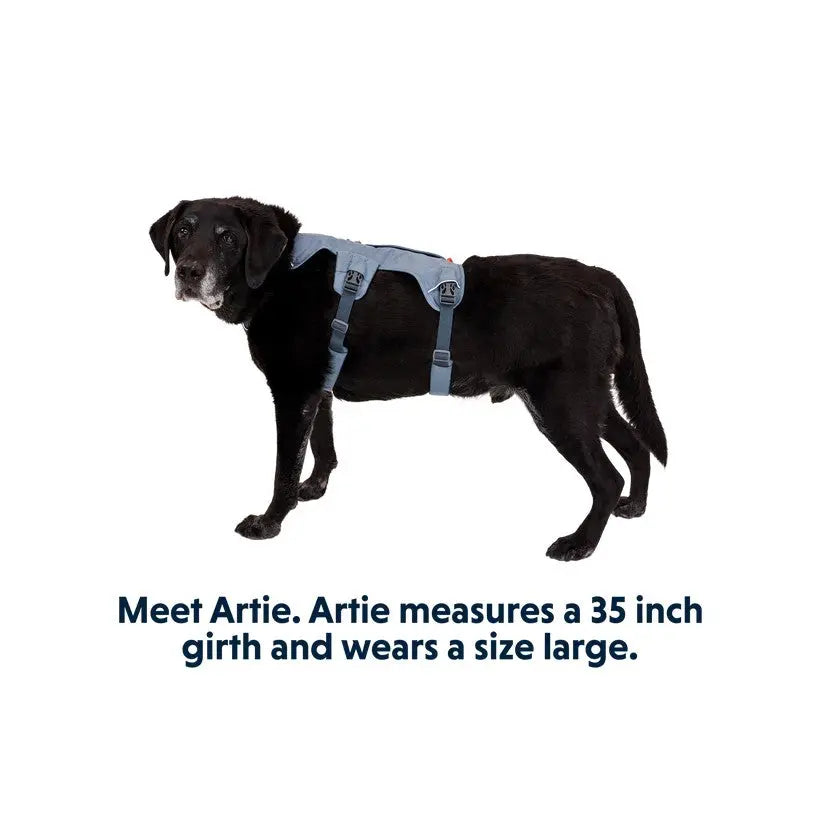 Ruffwear Webmaster Multi-Use Harness - product detail image nationwide South Africa