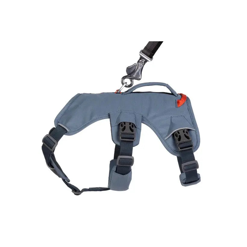 Ruffwear Webmaster Multi-Use Harness - product detail image available in South Africa