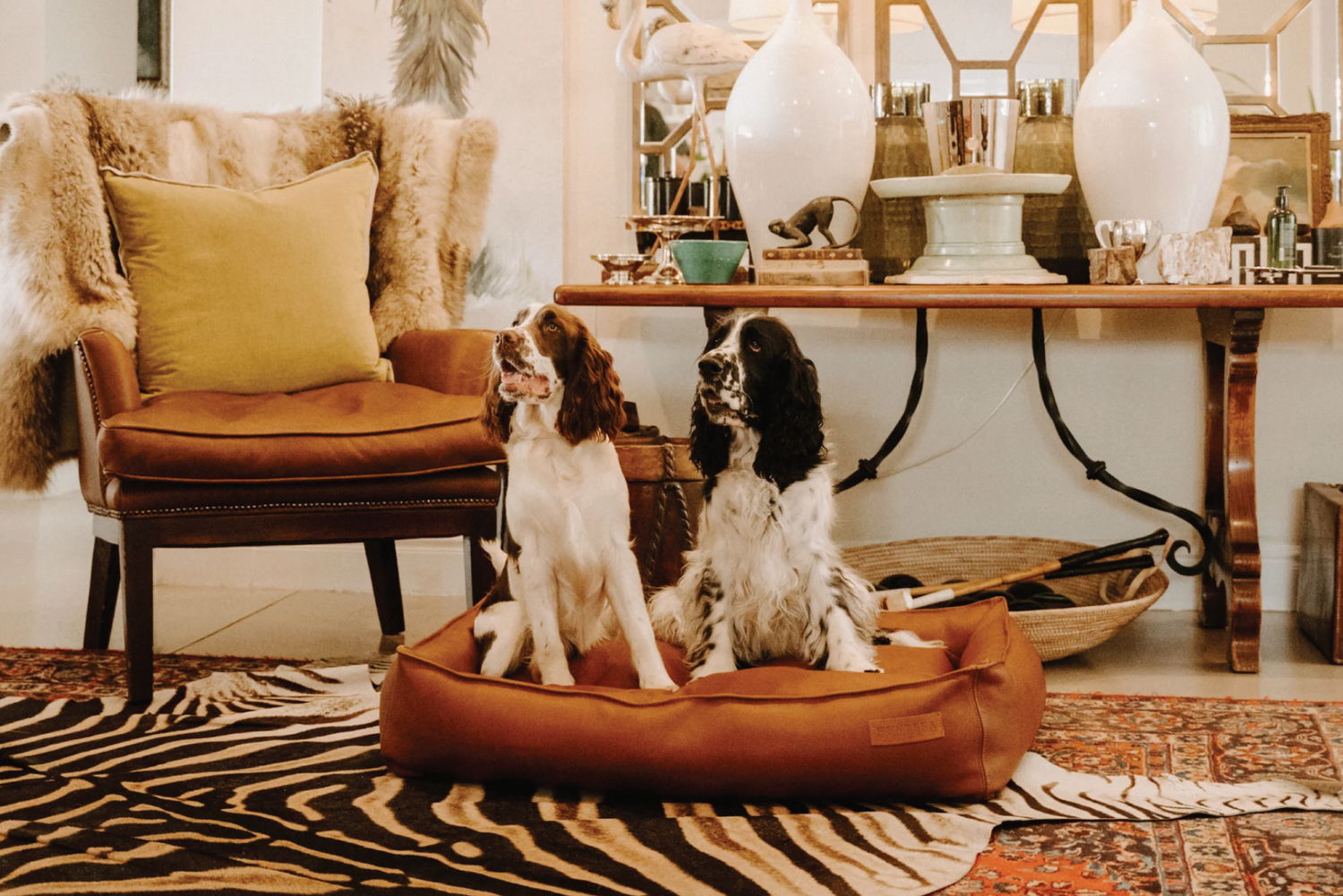 Choosing the Right Dog Bed for Your Dog