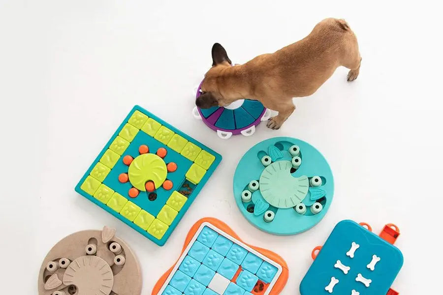 Choosing-The-Right-Puzzle-For-Your-Pup Canine & Co
