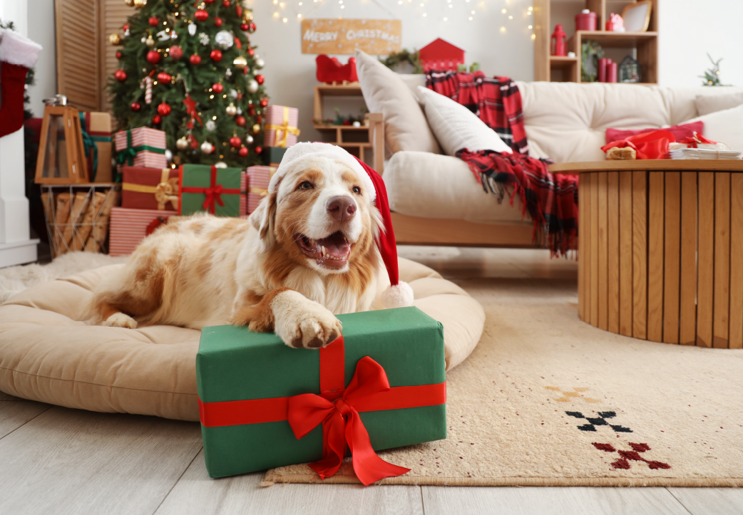Deck the Halls with Pet-safe Cheer: Creating a Joyful and Safe Holiday Season for Your Pets