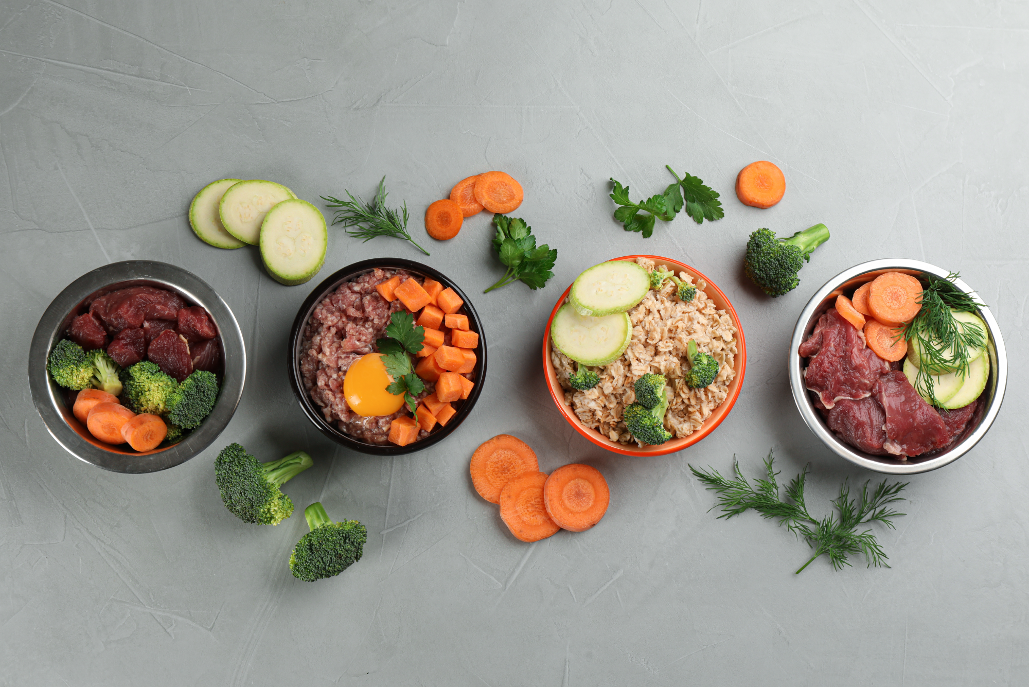 Natural Diet vs Scientifically Formulated Dog Food: What’s Right for Your Dog?