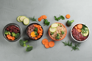 Natural Diet vs Scientifically Formulated Dog Food: What’s Right for Your Dog?
