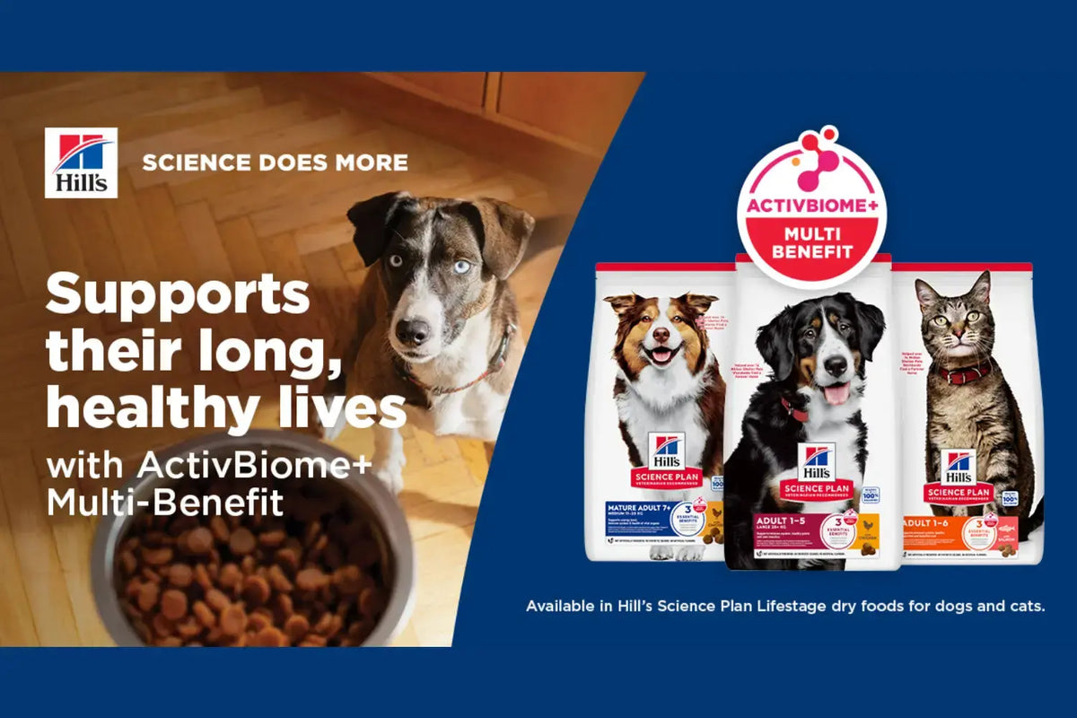 Hill's Special Care Explained: Which Recipe Fixes Which Problem | Canine & Co
