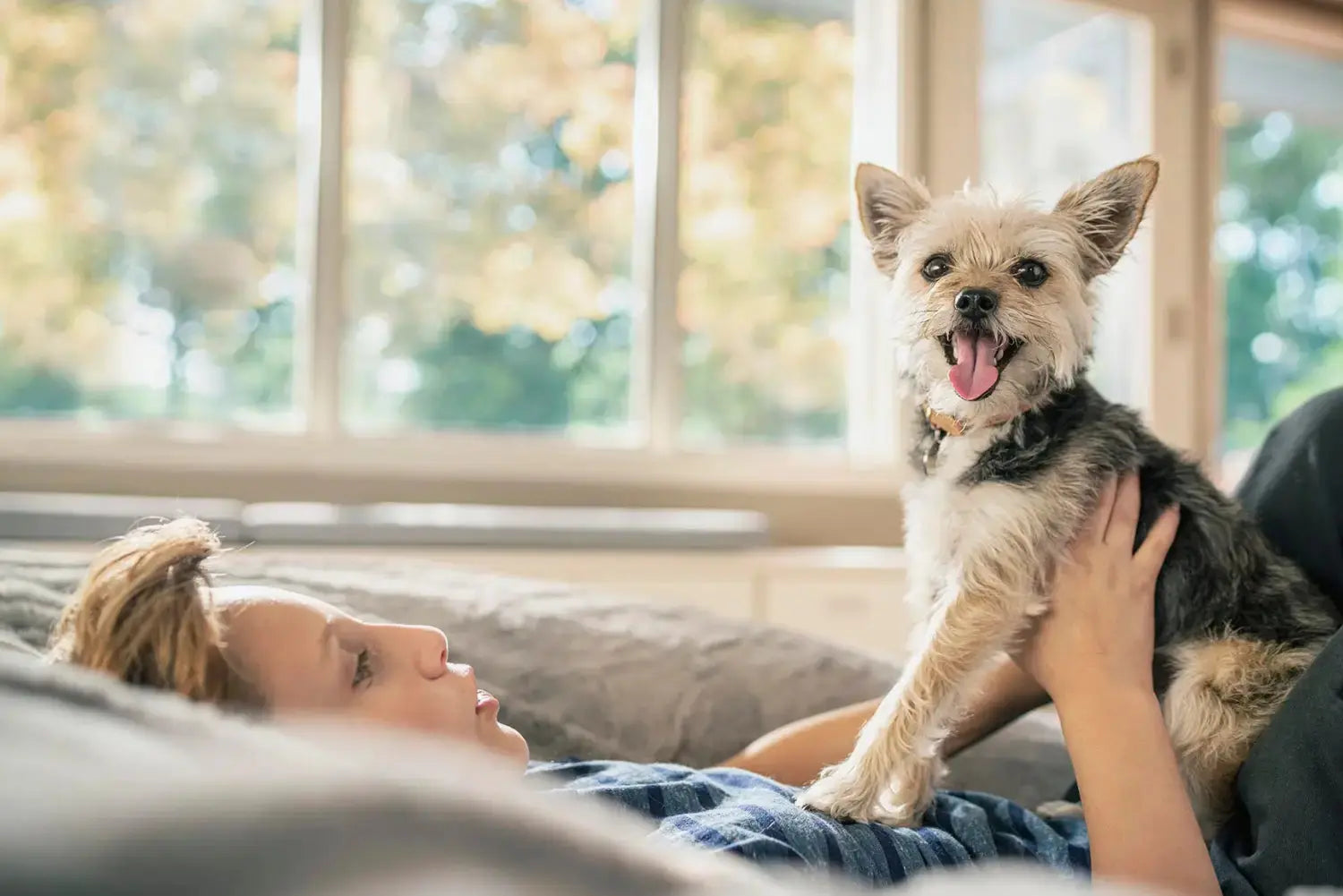 Hills-Sensitive-Skin-and-Stomach-Dog-Food-Top-8-Signs-of-Issues Canine & Co