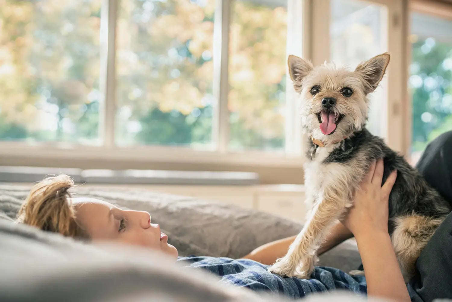 Hills Sensitive Skin and Stomach Dog Food: Top 8 Signs of Issues
