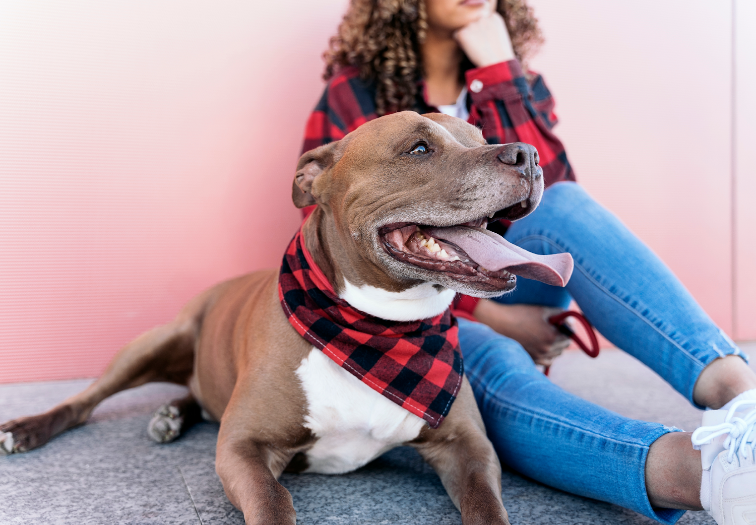 Dogs Often Take On The Same Personality Traits As Their Owner