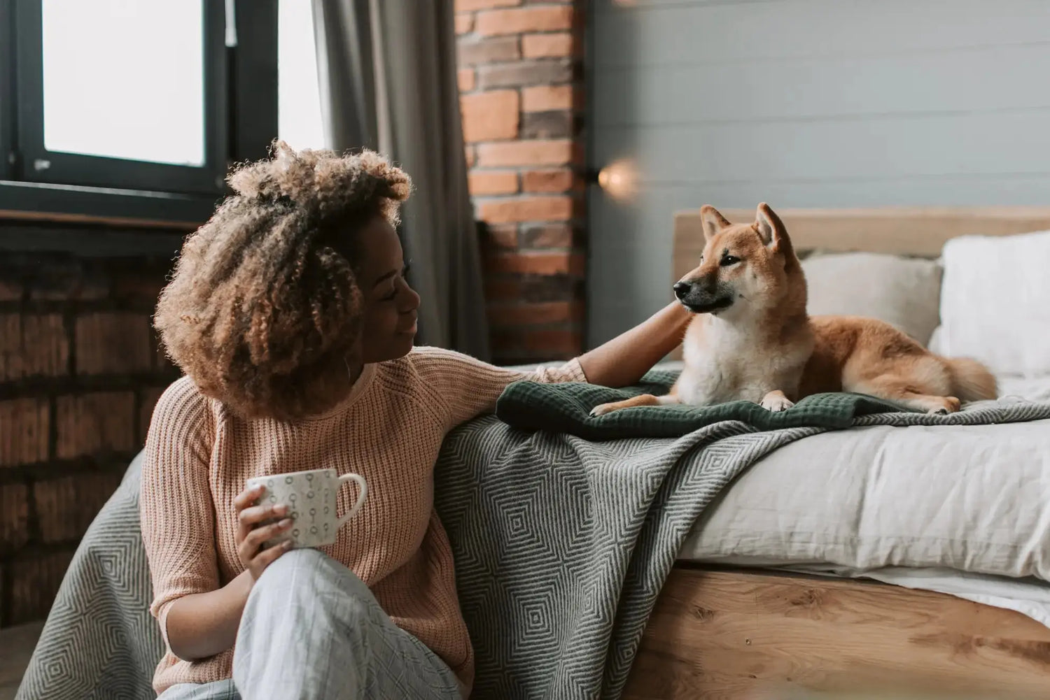 Natural-Remedies-for-Pets-Gentle-Care-That-Really-Helps | Canine & Co