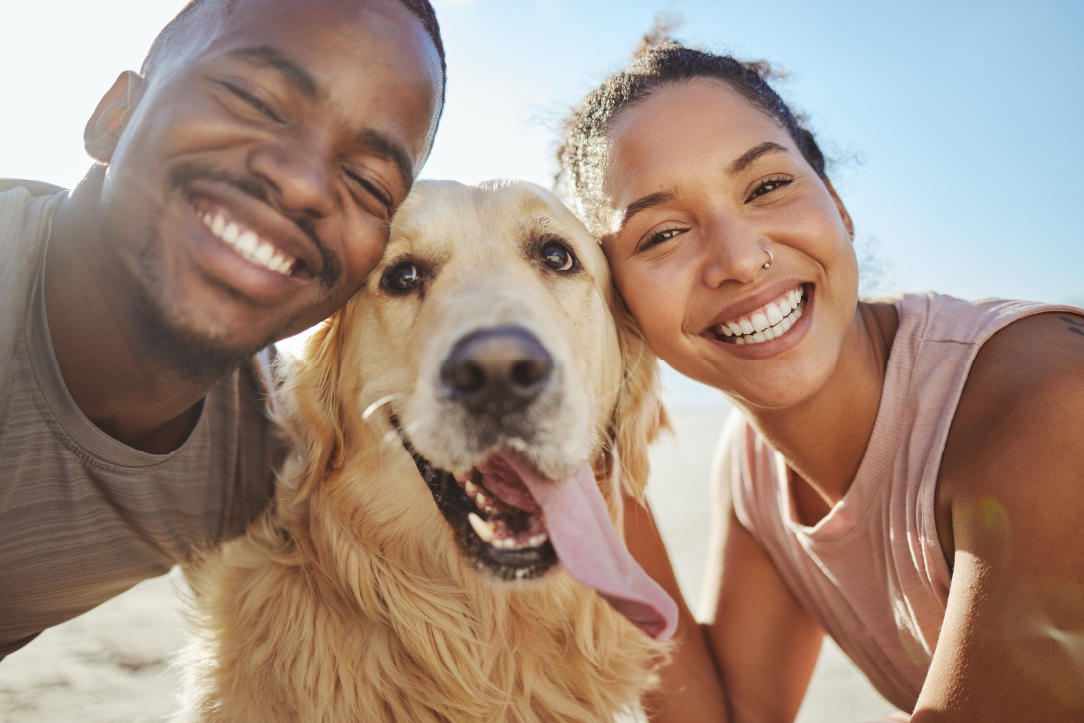 3 Simple Resolutions to Keep Your Pet Happy and Healthy This Year