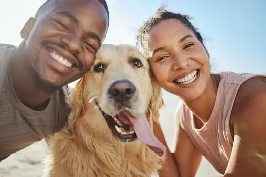 3-Simple-Resolutions-to-Keep-Your-Pet-Happy-and-Healthy-This-Year Canine & Co