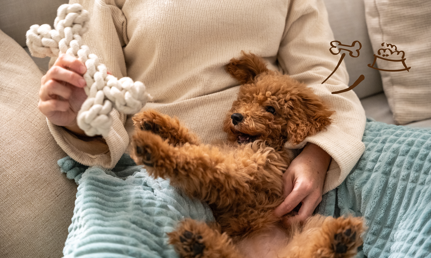 Small Breed Nutrition: Why Tiny Dogs Need Big Nutrition | Canine & Co