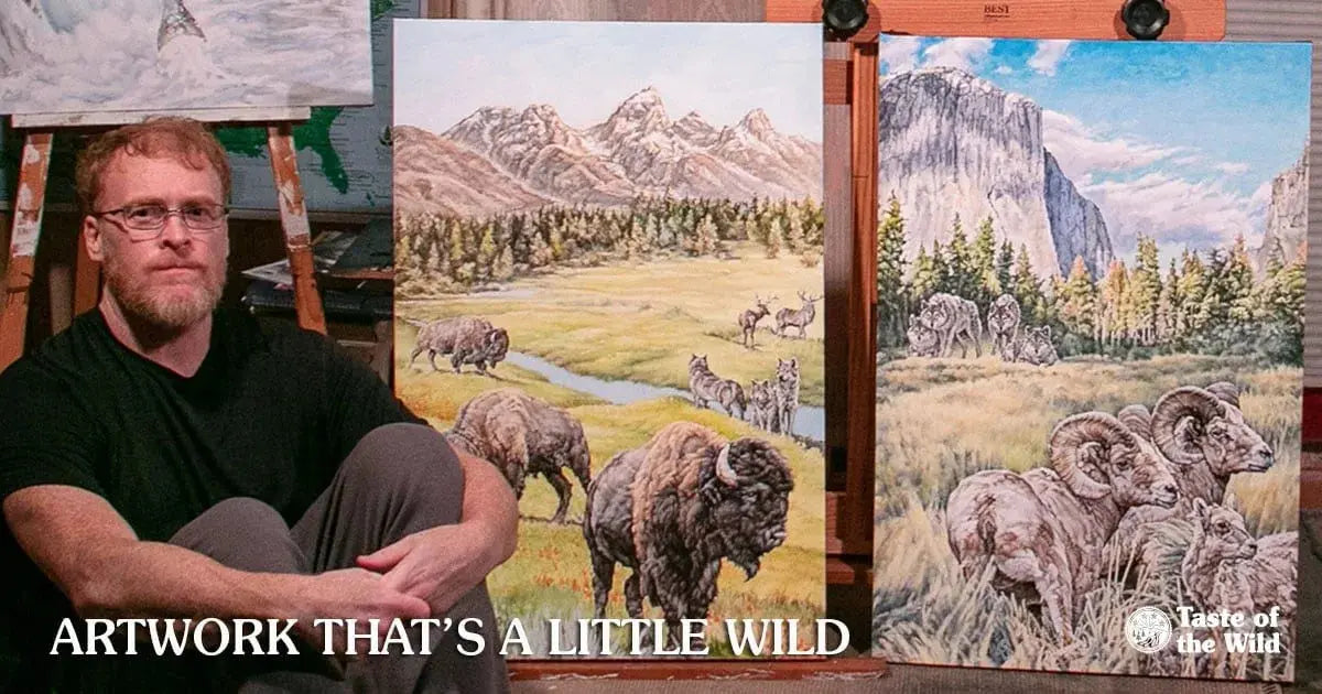 Taste of the Wild: A Guide to the Range and PREY | Canine & Co