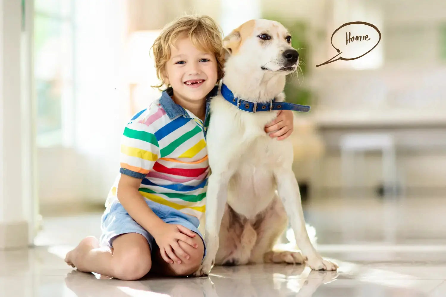 The Best Dewormer for Dogs in South Africa: A Straightforward Guide | Canine & Co