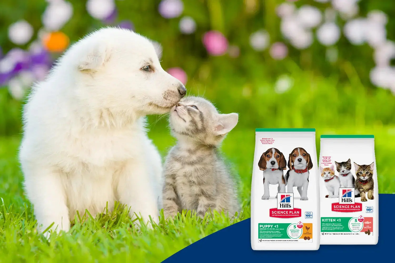 The Best Start: Nutrition for Puppies and Kittens | Canine & Co
