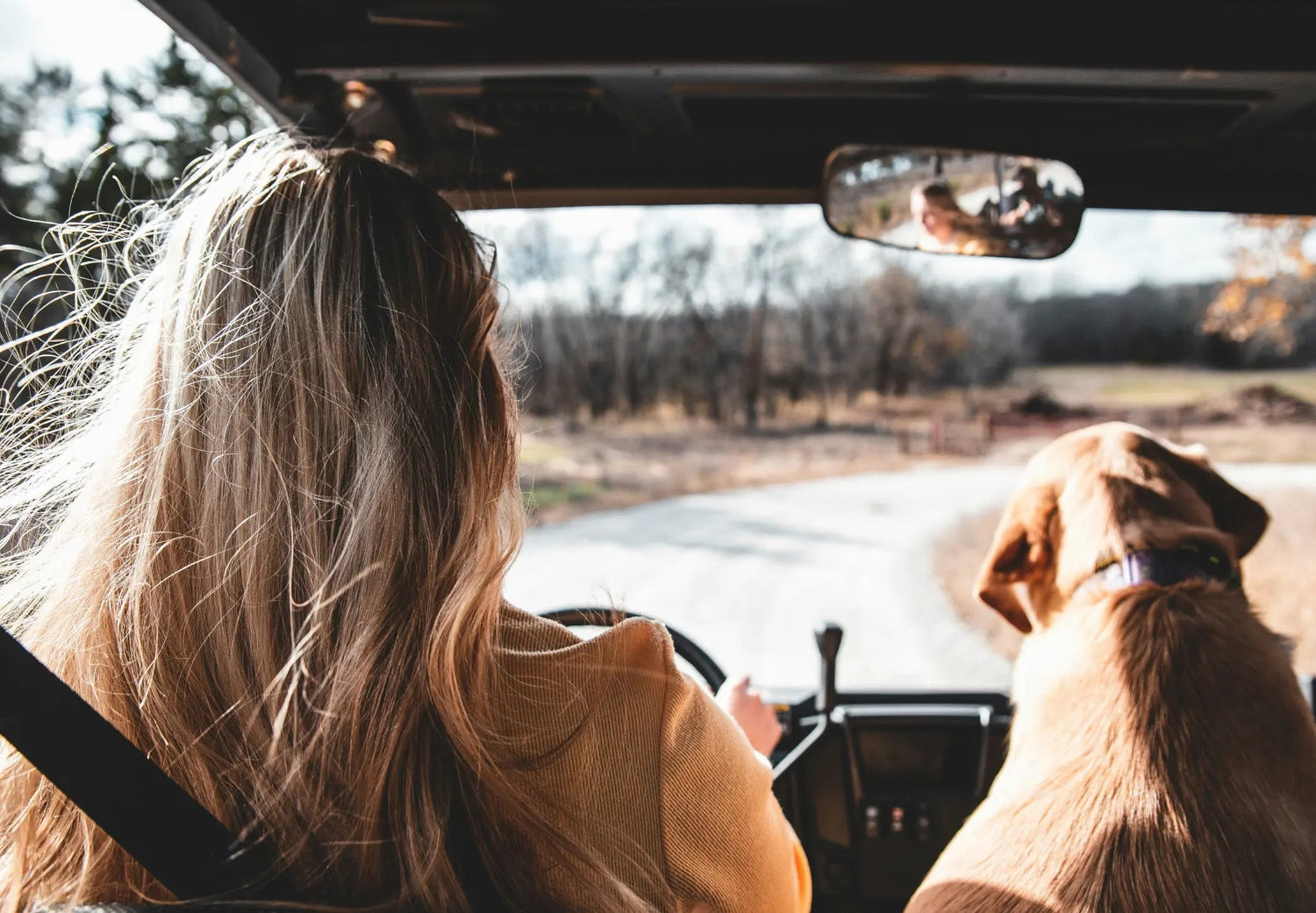 Hitting-the-Road-with-Your-Furry-Travel-Buddy-A-Guide-to-Pet-Friendly-Adventures Canine & Co