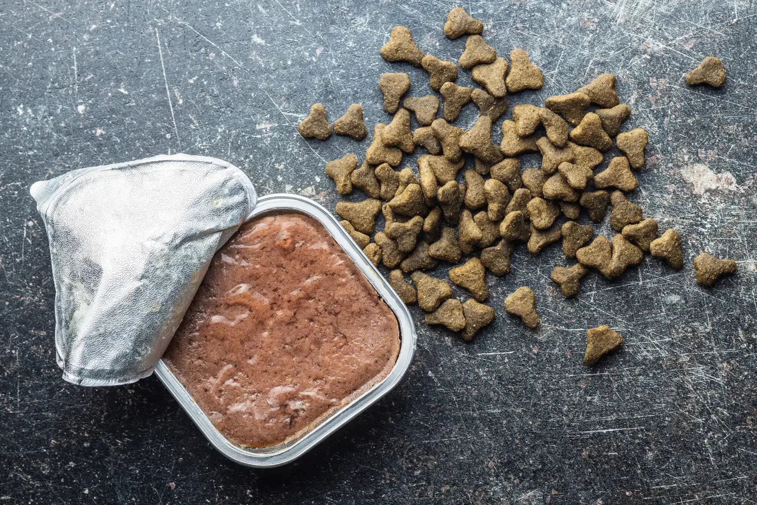 Wet vs Dry Cat Food: Which Is Better for Your Cat? | Canine & Co