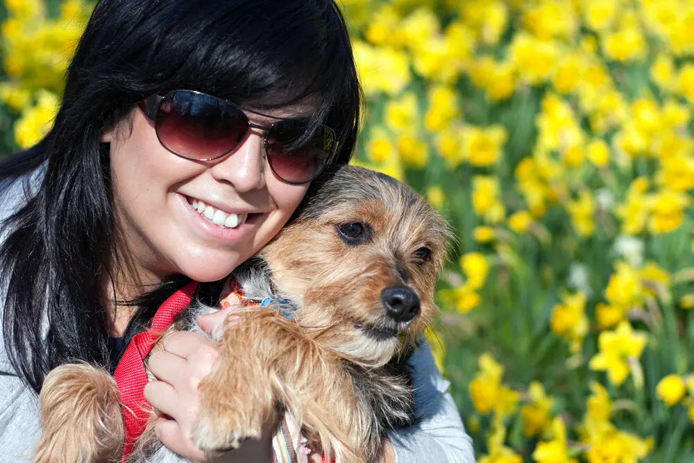 Anxieties-Problematic-Behaviours-are-Common-in-Dogs Canine & Co