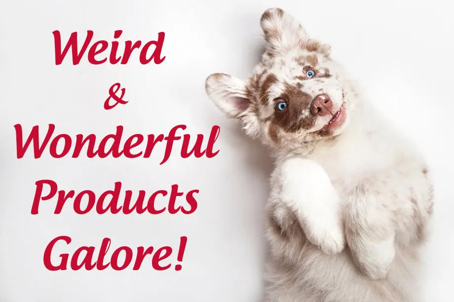 Funtastical-Dog-Products Canine & Co