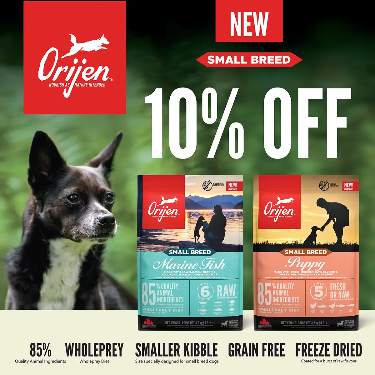 Shop Save-10-Orijen-Small-Breed-Puppy-Orijen-Marine-Fish| Canine & Co