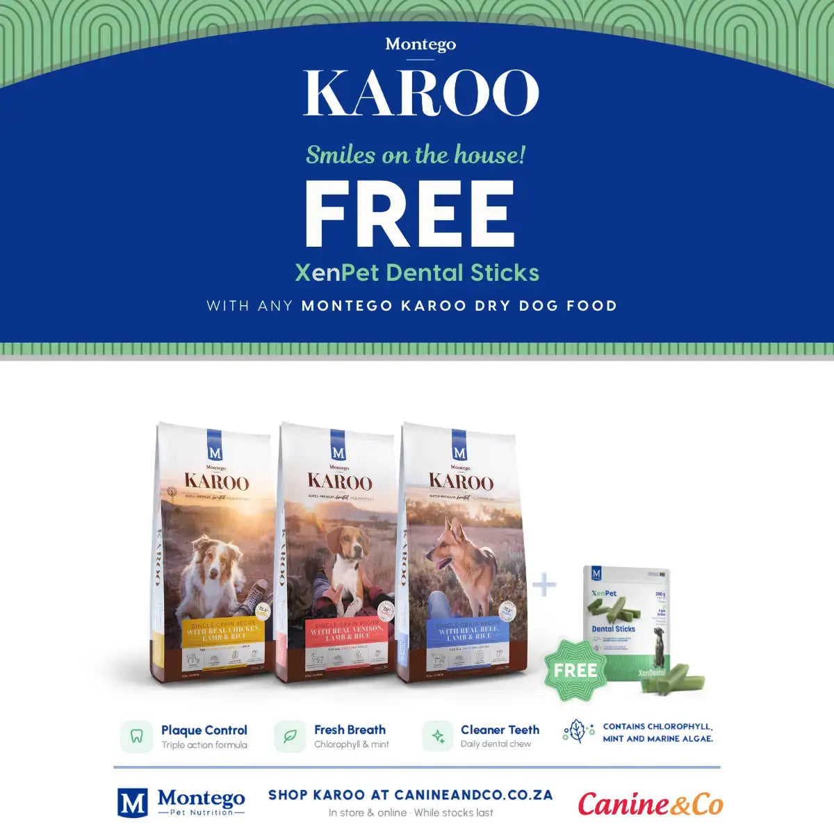 Shop Montego-Karoo-Promo-FREE-XenPet-Dental-Sticks| Canine & Co