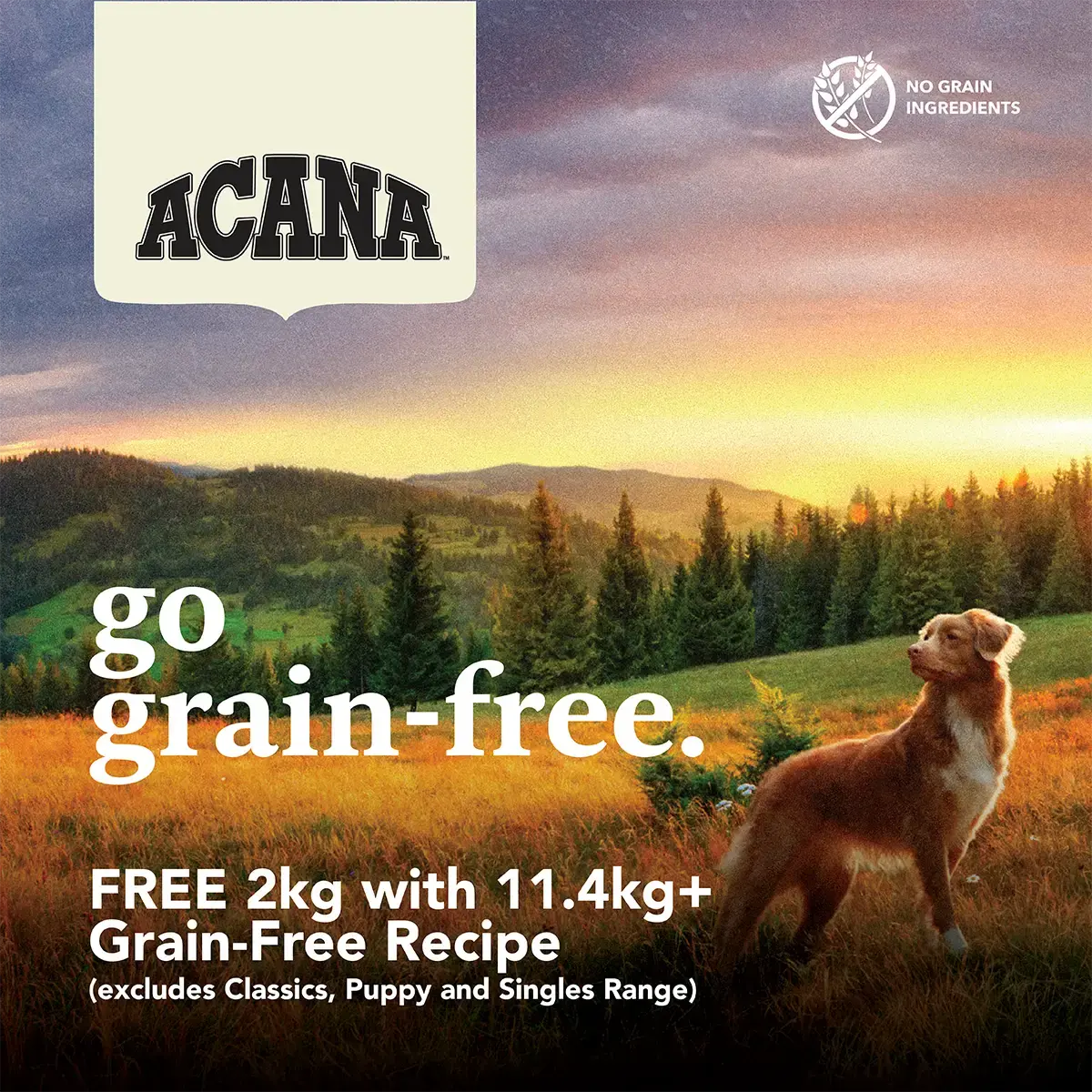 Shop FREE-2kg-Acana-Grain-Free-With-11.4kg| Canine & Co
