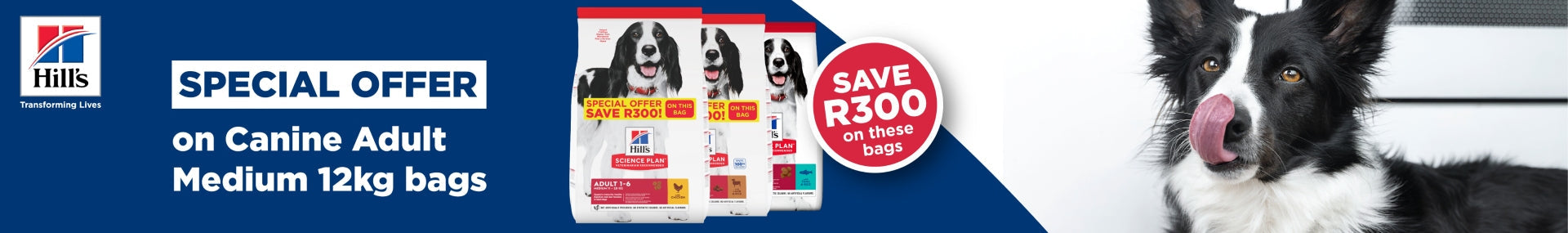 SPECIALS > Hill's R300 Off Adult Dogs Medium 12kg Bags