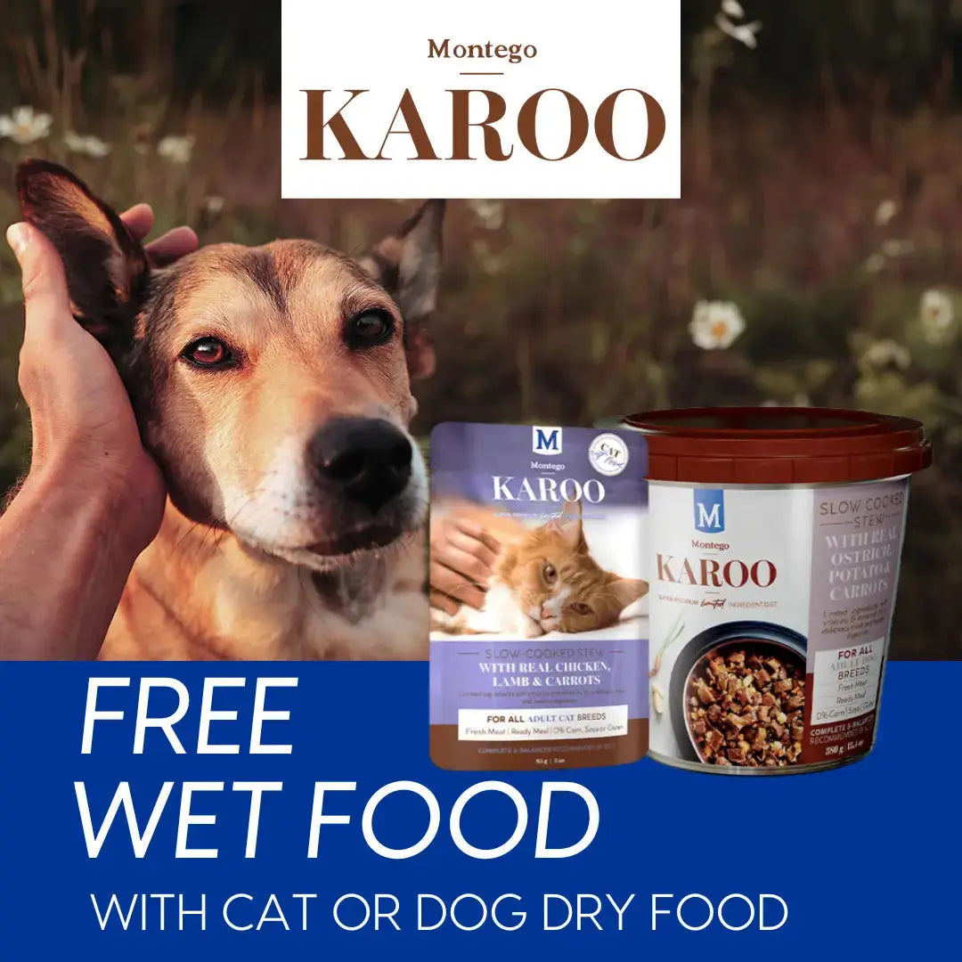 Shop Montego-Karoo-Free-Wet-Food-With-Cat-or-Dog-Dry-Food| Canine & Co