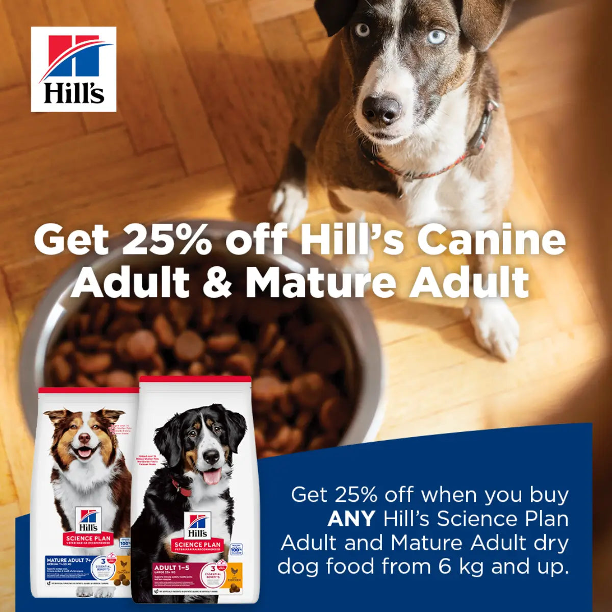 Shop Hill-s-Canine-Adult-Mature-Adult-6kg-25-Off-Online-Only| Canine & Co