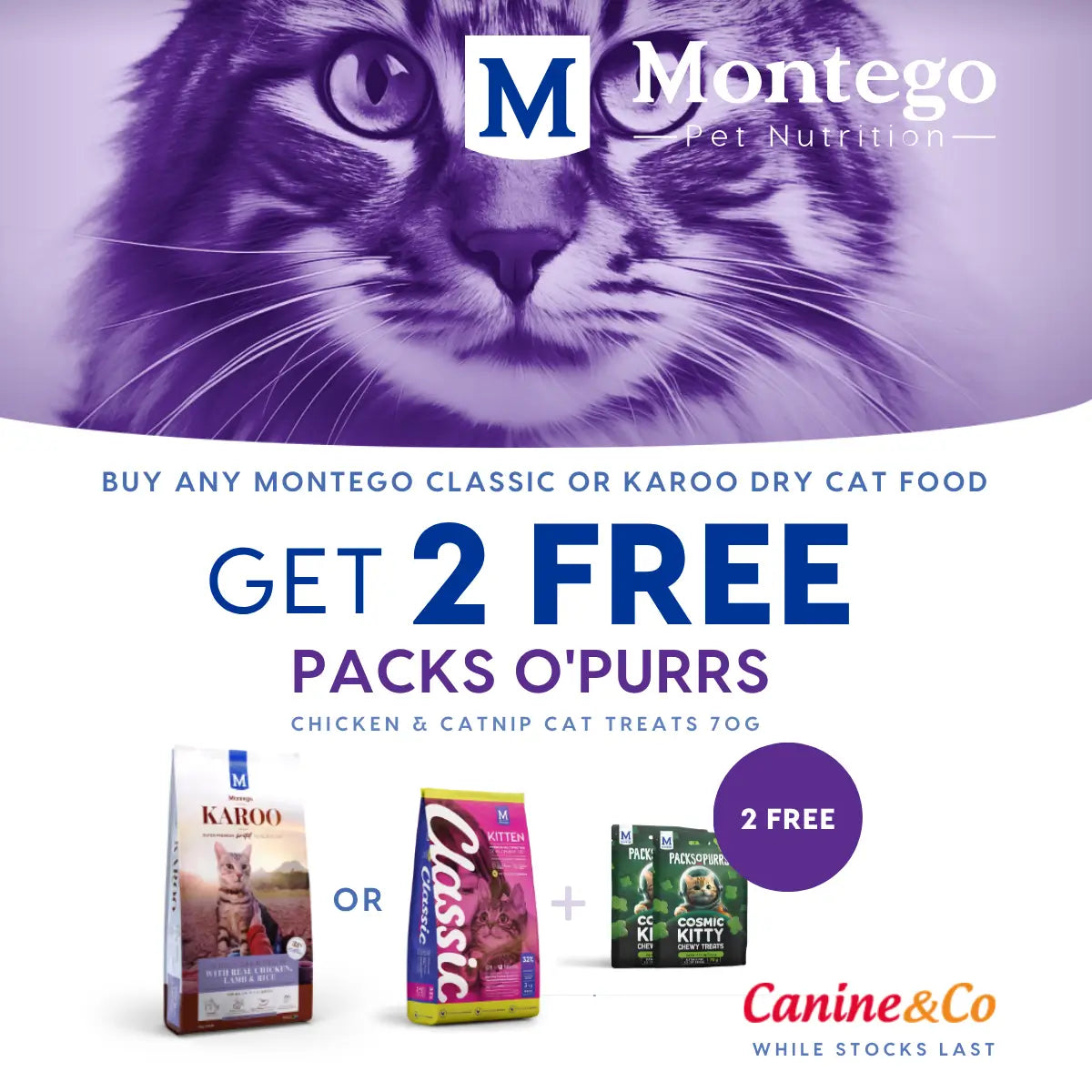 2 FREE Packs O' Purrs with any Classic or Karoo Dry Cat Food