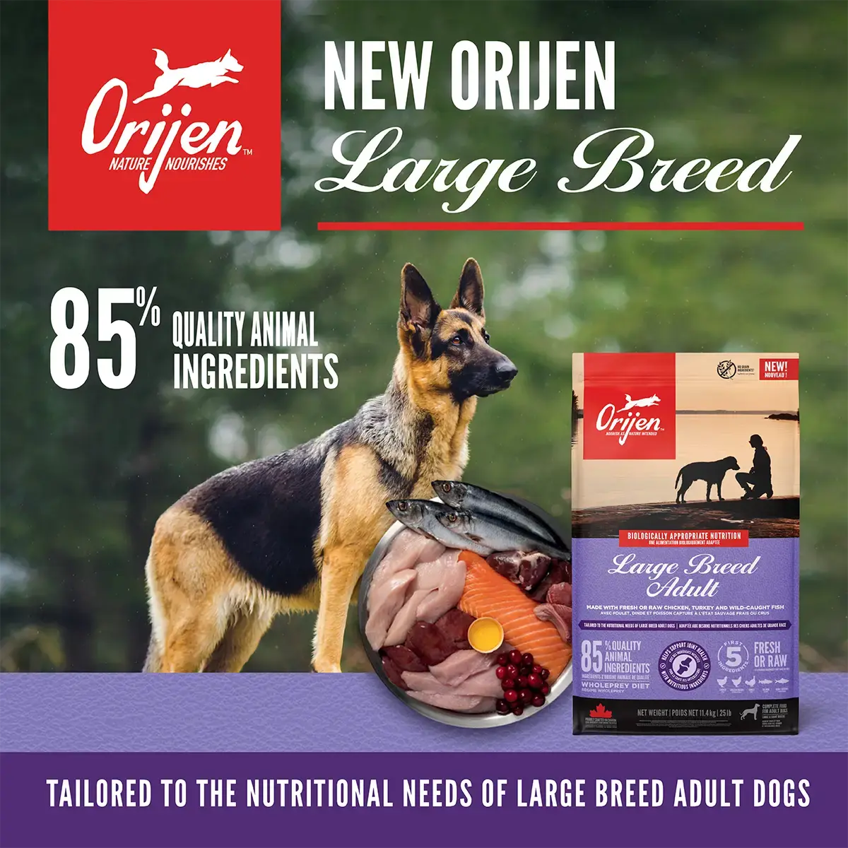 Shop 10-Off-New-Orijen-Large-Breed| Canine & Co