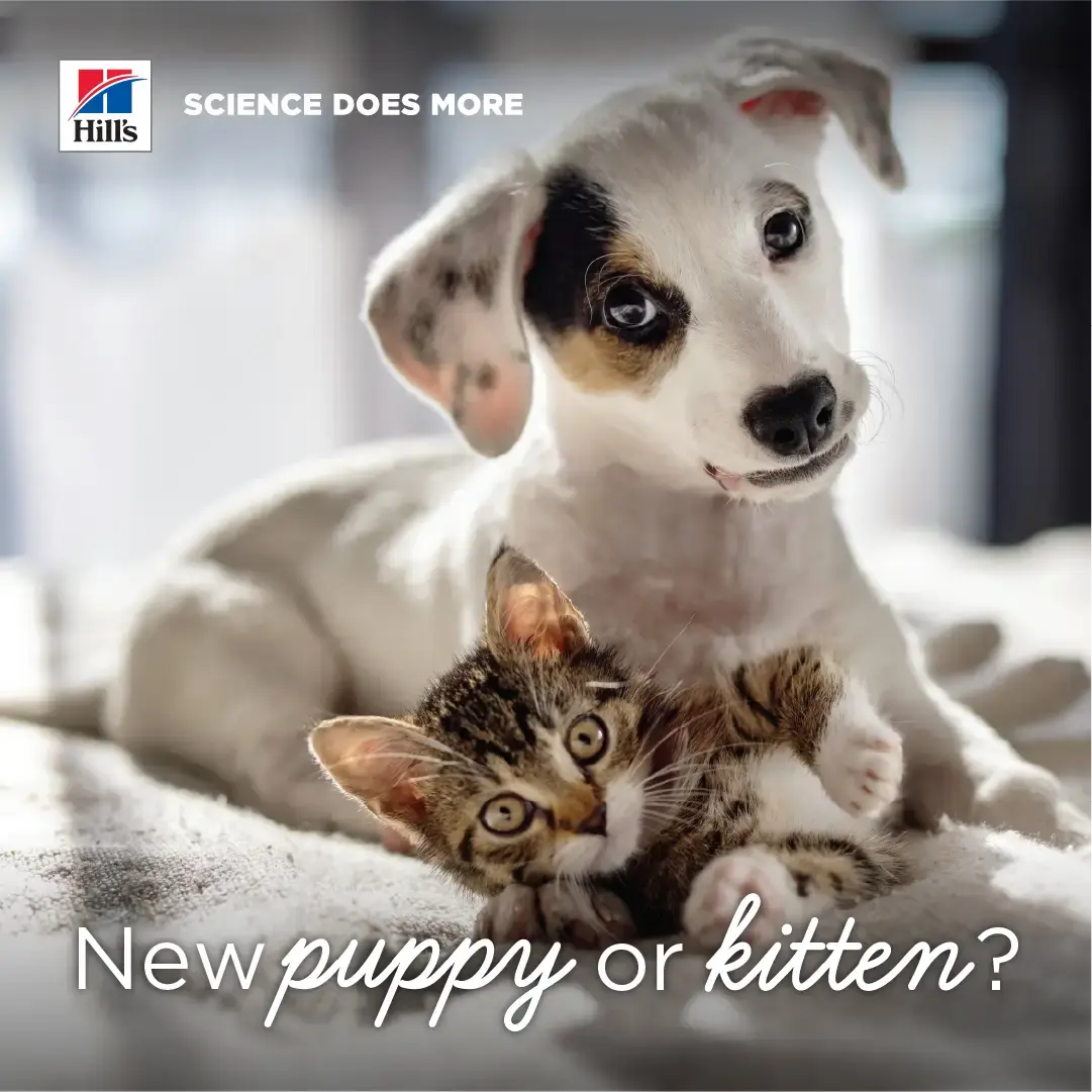 Hill's Science Plan Welcome Home Packs for new puppies and kittens - starter gift boxes at Canine & Co