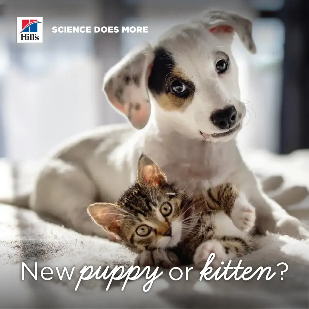 Hill's Science Plan Welcome Home Packs for new puppies and kittens - starter gift boxes at Canine & Co