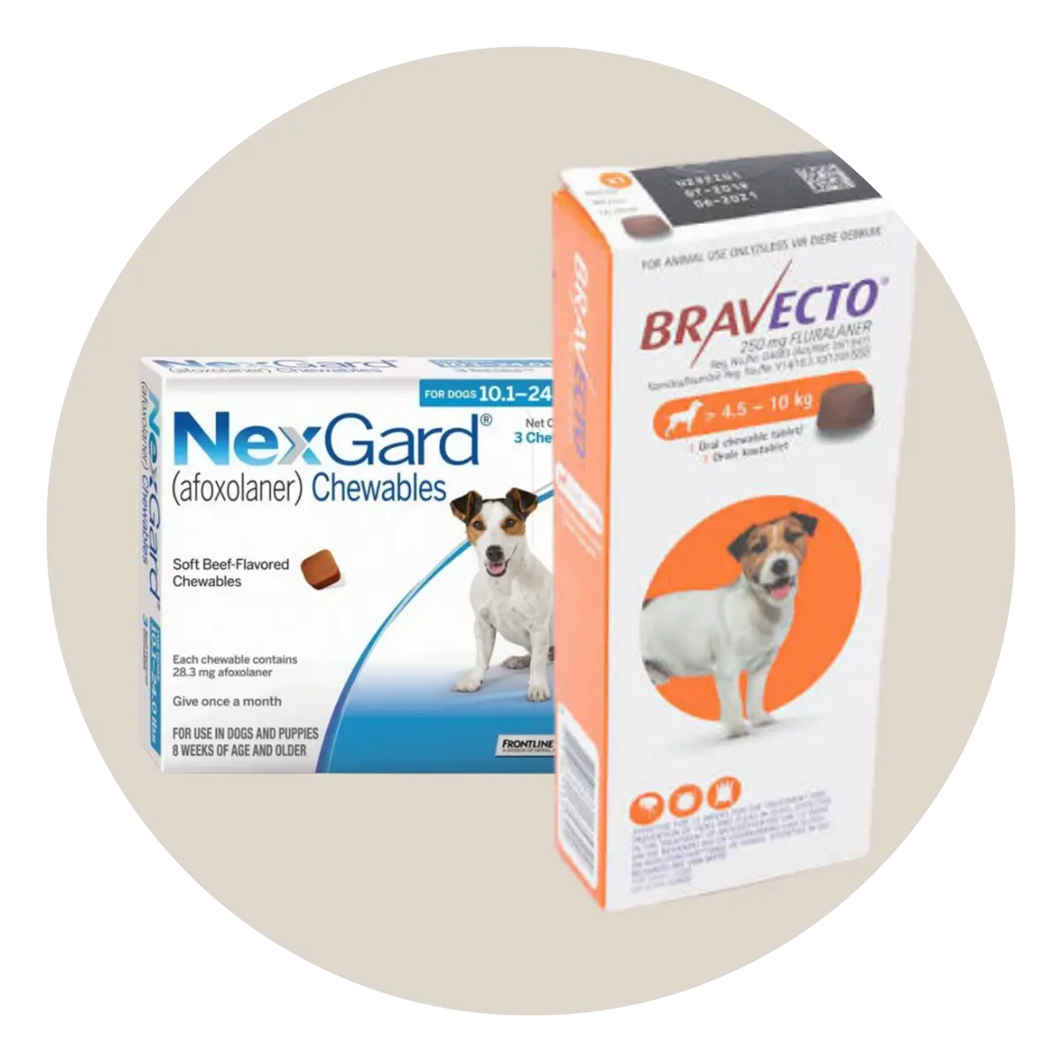 Dog Pest Control