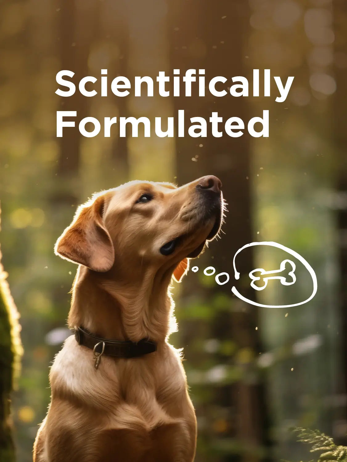 Traditional, Scientifically Formulated Pet Food