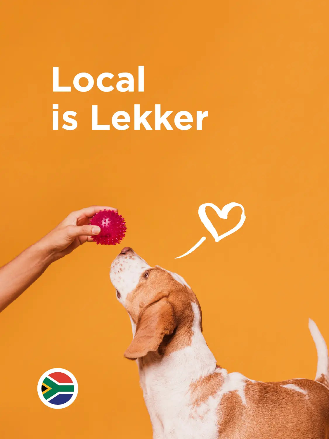 Everyday, Locally Manufactured Pet Food