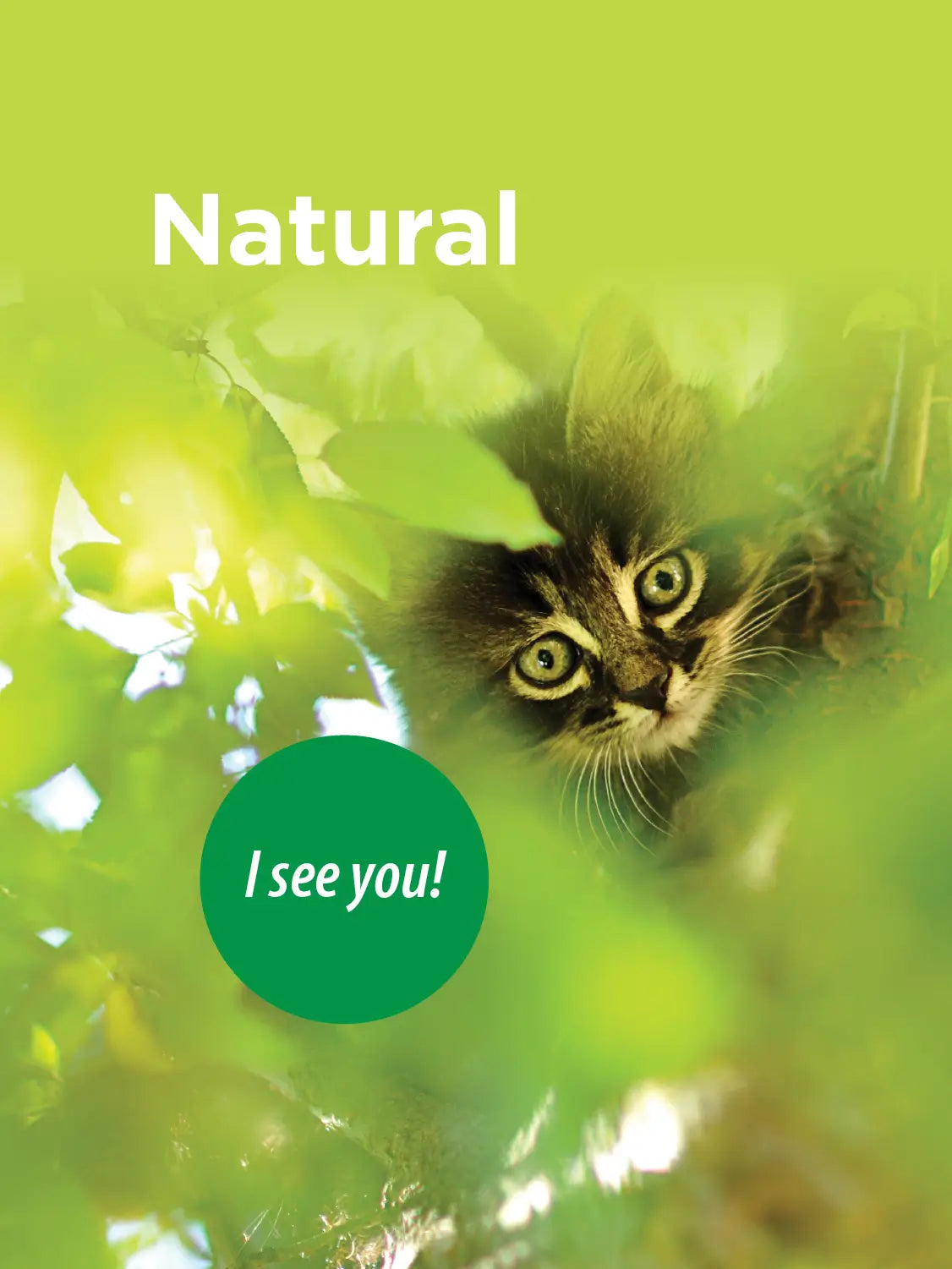 Natural and Biologically Appropriate Pet Diets