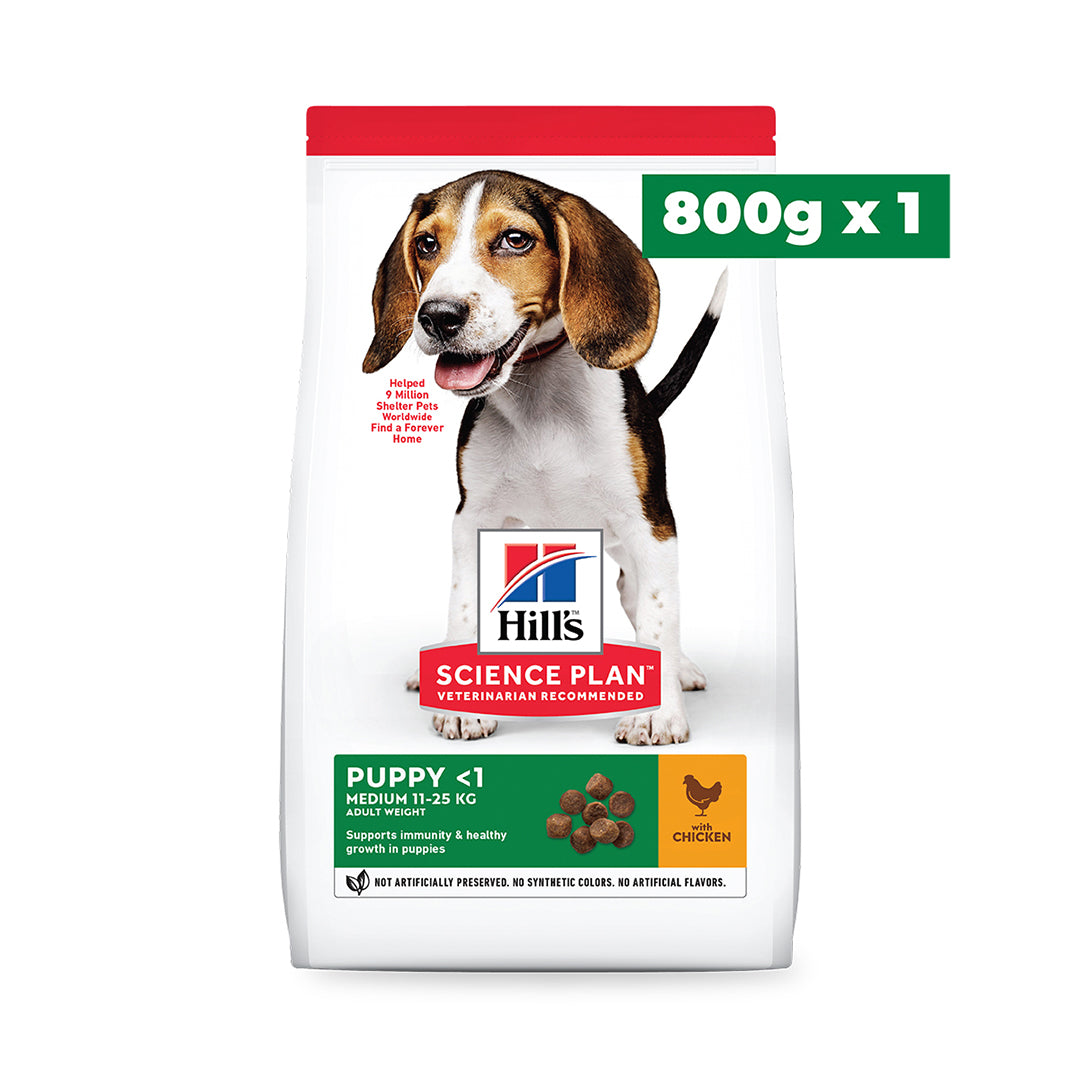 Puppy Medium Welcome Home Pack - Packshot