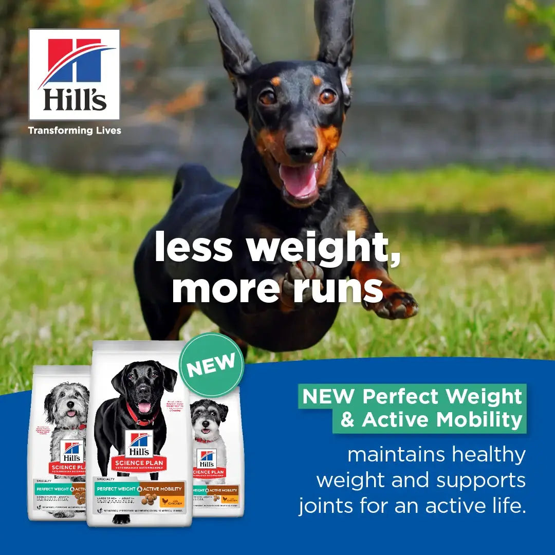 Hill's Science Plan Perfect Weight & Active Mobility Large Breed Chicken Dry Dog Food Hill's Science Plan
