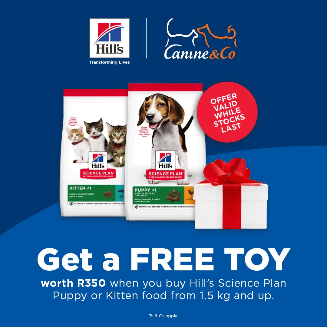 FREE Toy with Hill's Puppy or Kitten