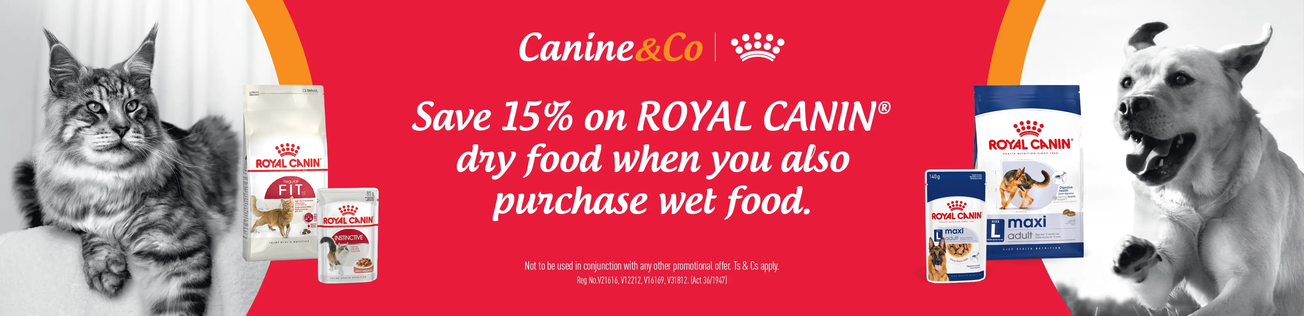 Canine & Co