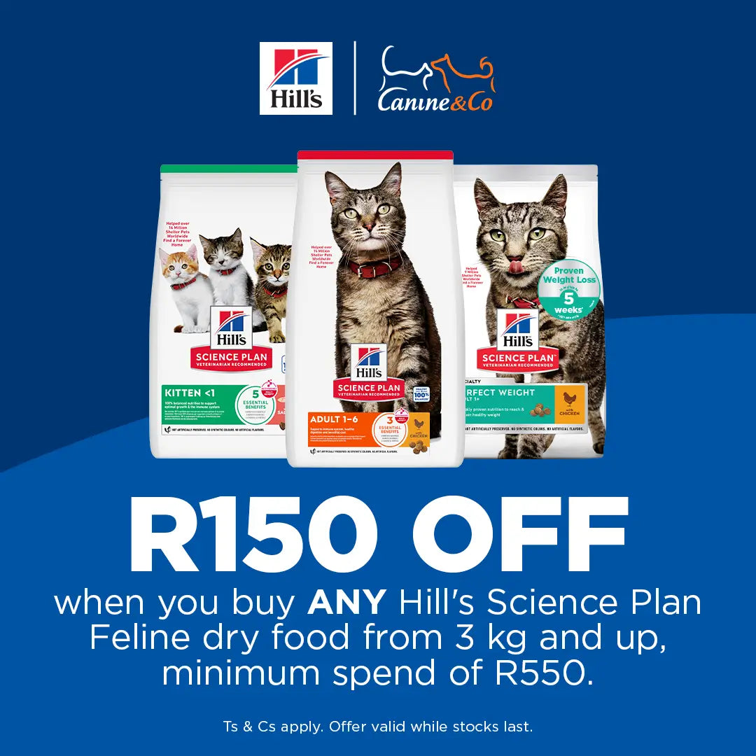 R150 Off Hill's Cat Food