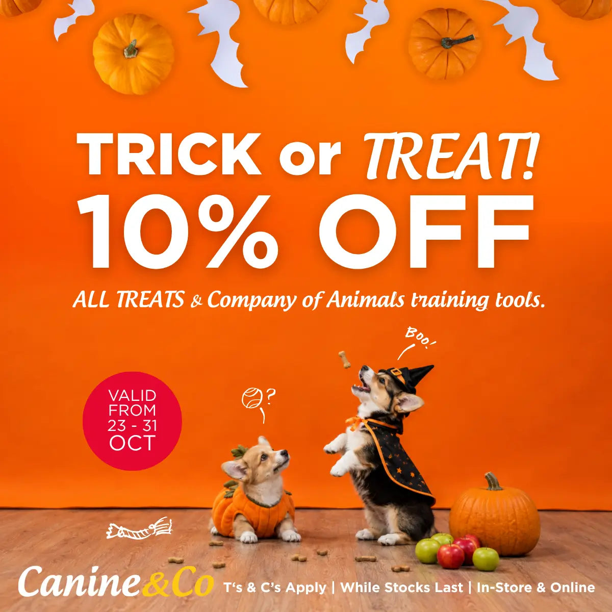 Save 10% Trick or Treat