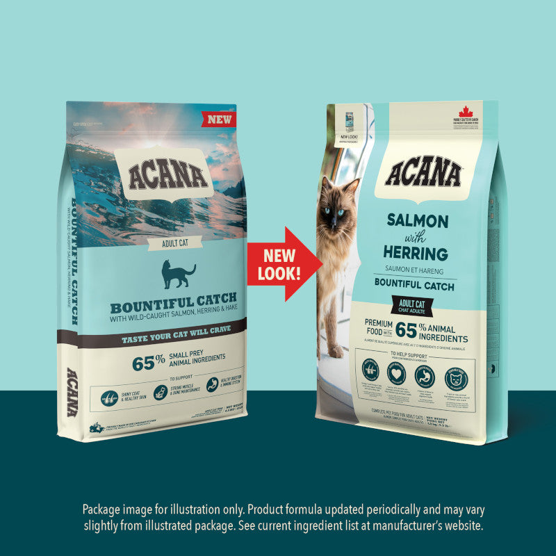 Acana Bountiful Catch Salmon with Herring Adult Cat Food – lifestyle image (SA)
