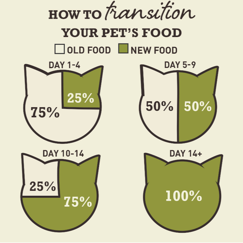 Transition Illustration